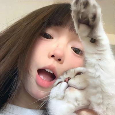 危岛坠爱