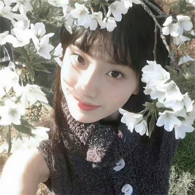 机械危情